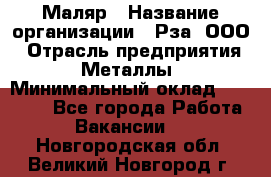 Маляр › Название организации ­ Рза, ООО › Отрасль предприятия ­ Металлы › Минимальный оклад ­ 40 000 - Все города Работа » Вакансии   . Новгородская обл.,Великий Новгород г.